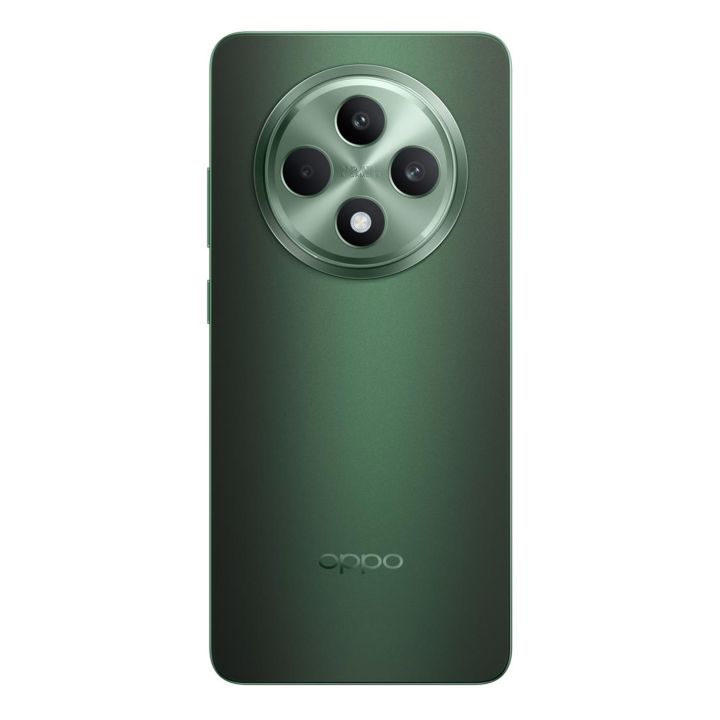Смартфон Oppo Reno12 FS 5G 8/512Gb Olive Green
