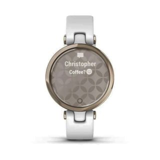 Купити Смарт-годинник Garmin Lily White за вигідною ціною. Популярні Годинники Garmin у mBrand  2